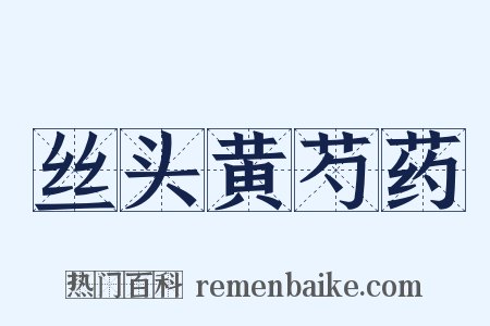 丝头黄芍药是什么意思的图片